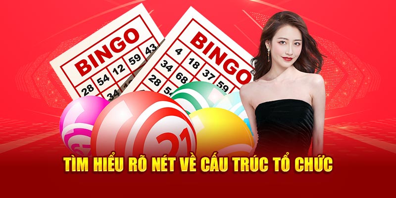 Tìm hiểu rõ nét về cấu trúc tổ chức 