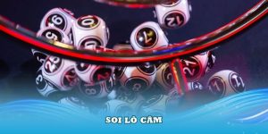 thumb-soi-lo-cam