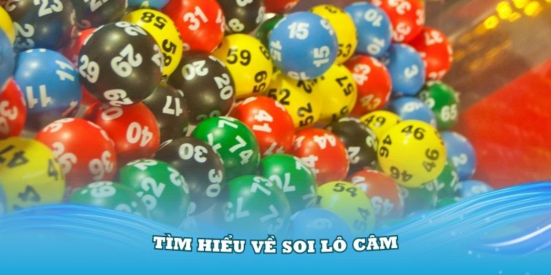 tim-hieu-ve-soi-lo-cam